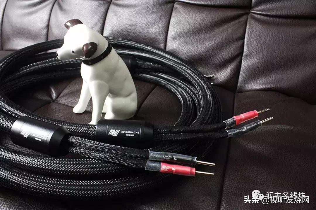 烧友音箱评测,烧友高音质音乐