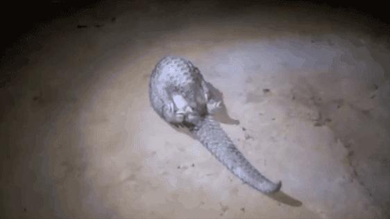 只为一串佛珠，他活剥了我妈的皮：人心有多可怕，你根本想象不到