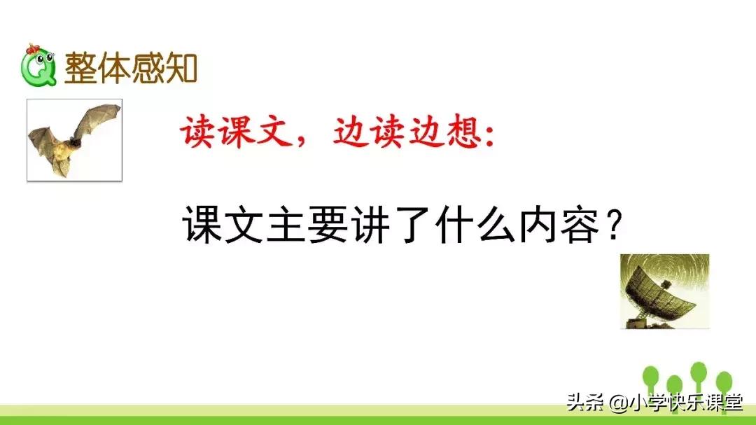 四年级上册语文蝙蝠和雷达课后题,部编版四年级上册语文蝙蝠和雷达
