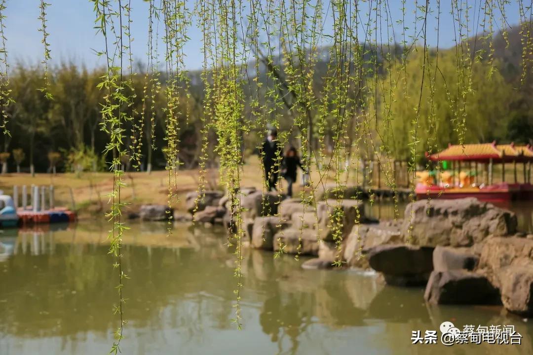 桃之夭夭！来武汉蔡甸世外桃源，许你万株桃花