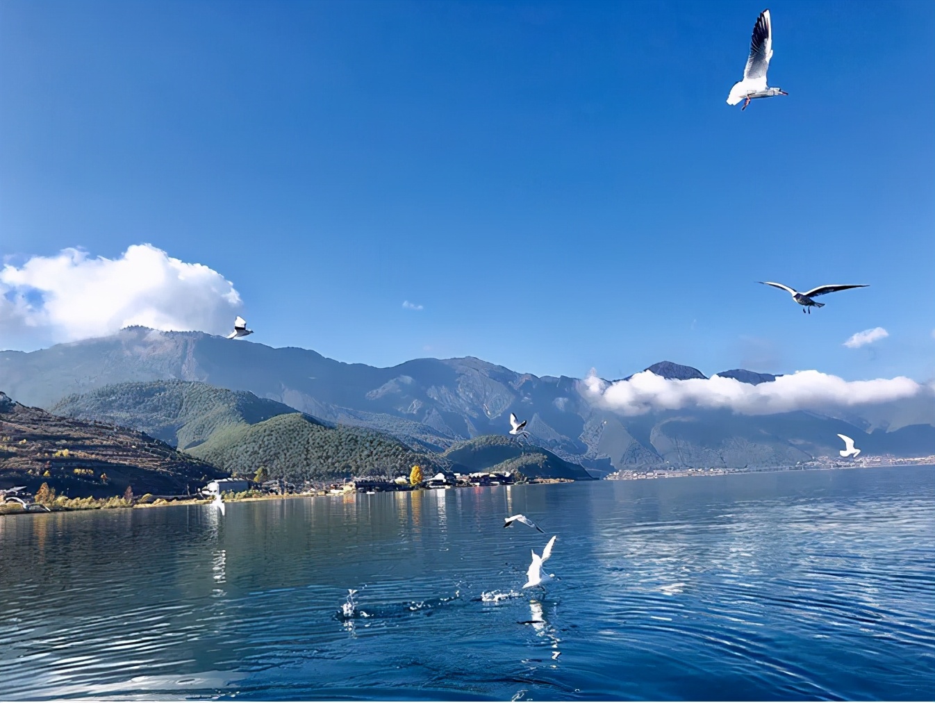 去云南旅游纯玩团价格,云南旅游纯玩团报团价6日游