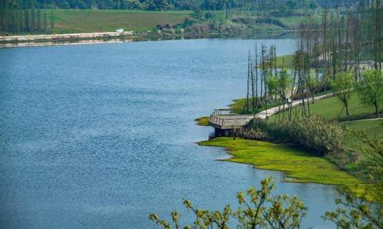 2004年亚洲杯重庆赛区,2004年亚洲杯重庆