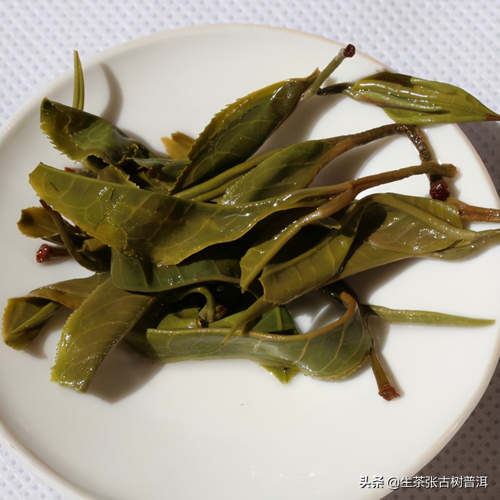 真正的普洱茶原产地,真正的地界是什么样子