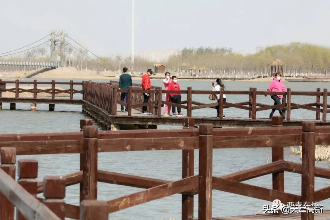 天津即将完工的公园,天津2022年四月开放的公园