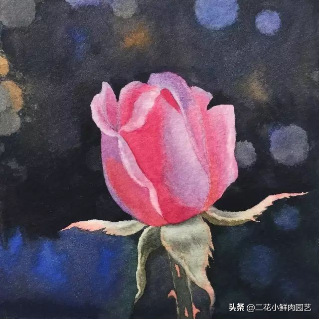 100种花卉绘画,100多张花卉线描手稿素材赶快收藏