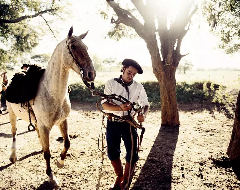 马背上的孤胆英雄:无马不欢的高乔人