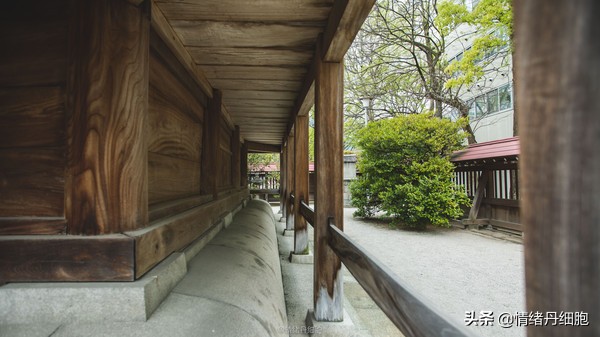 邮轮游选择哪个游轮好,邮轮旅游全攻略公主号