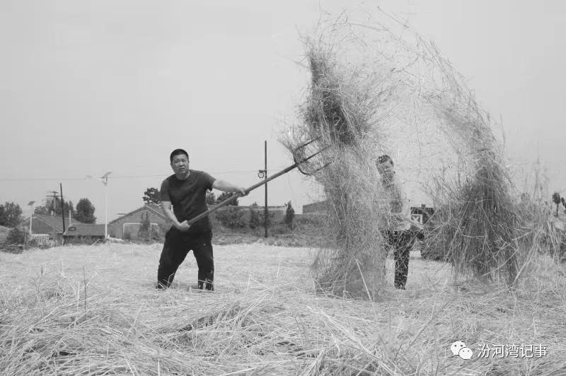 夏收，难忘的乡愁