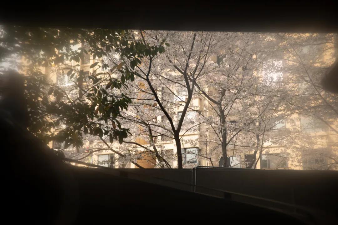 神仙道具自拍,神仙图道具