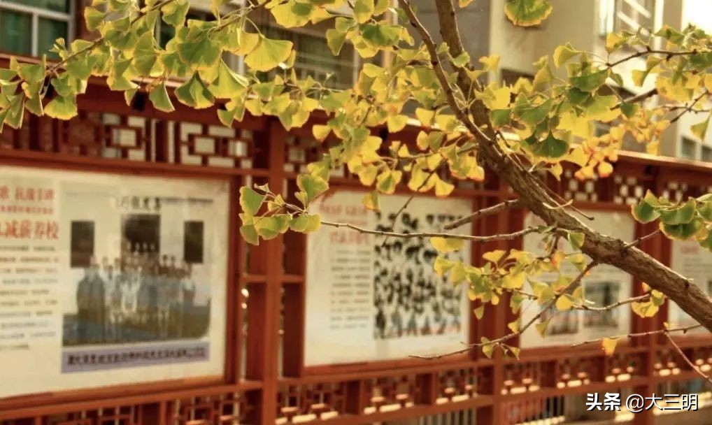 聆听红色故事传承红色精神演讲,走进红色基地传承红色精神演讲