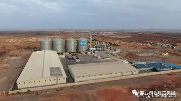 宝业集团张健,武汉宝业建工集团海外部张健