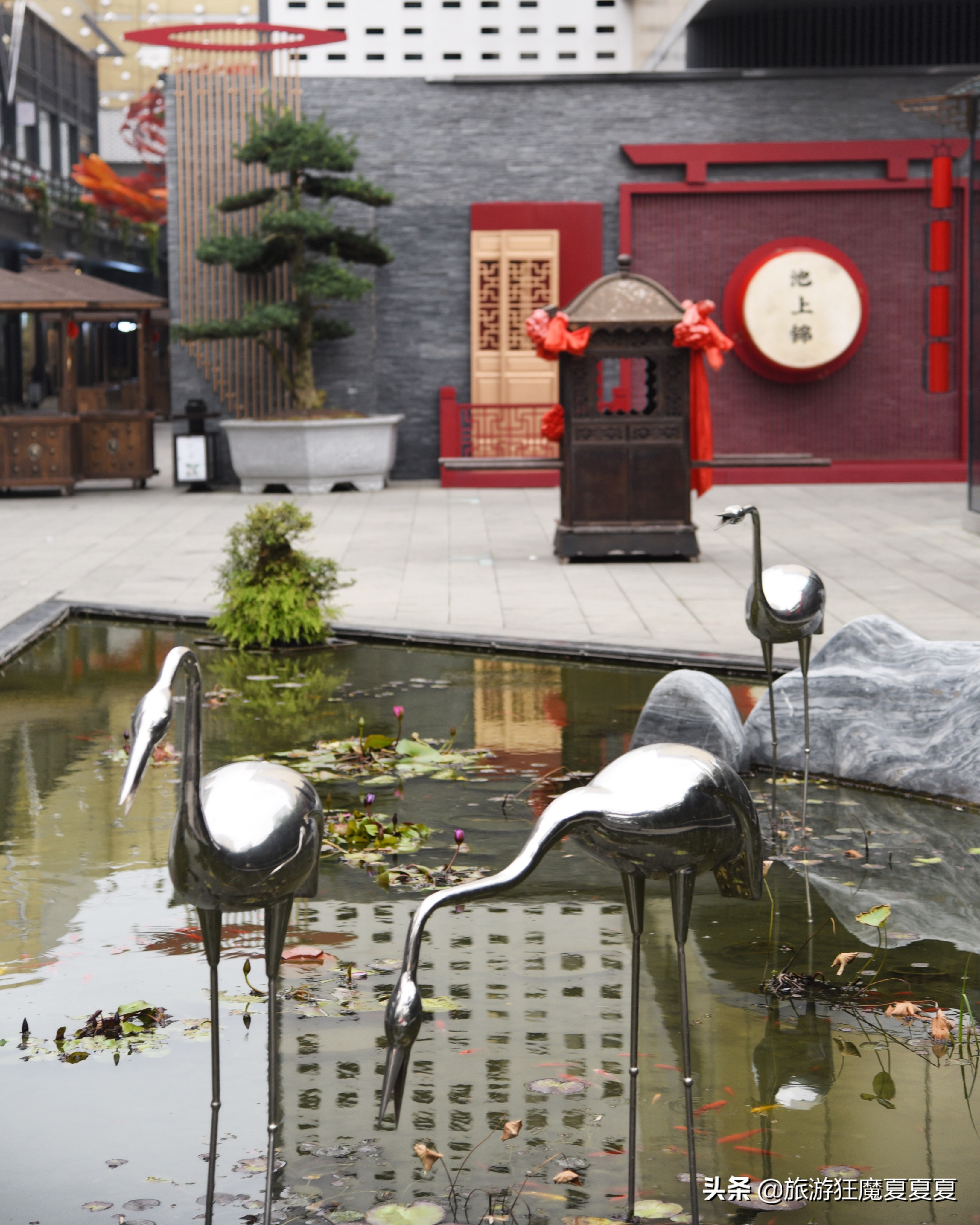 成都荷花池批发市场都有哪些,成都荷花池批发市场都有什么