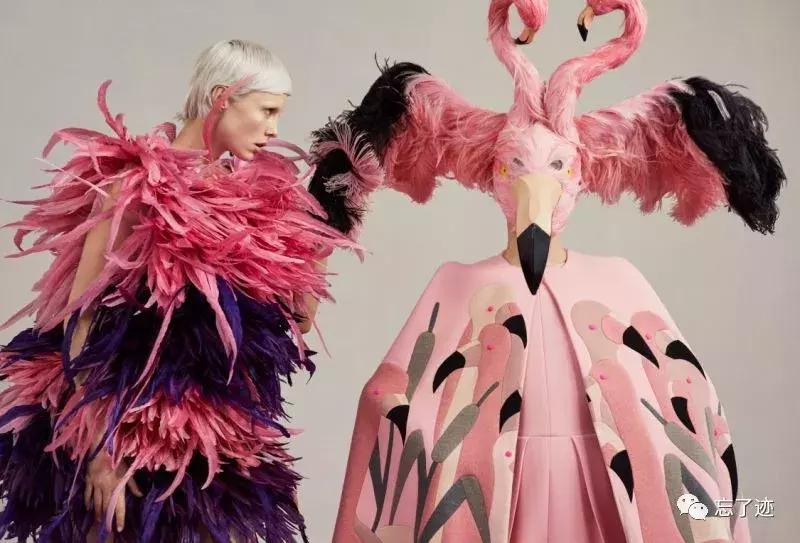 坎普应该怎么玩,坎普各个系列介绍