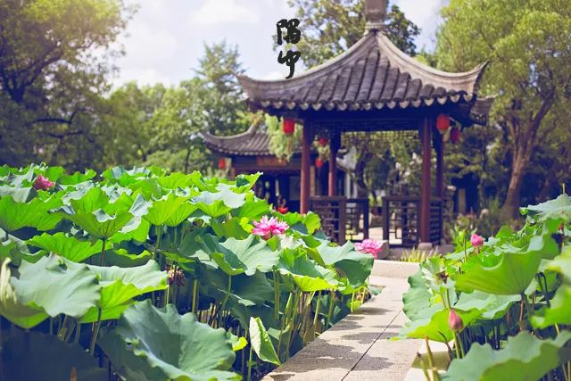 读懂十二时辰就懂人生,读懂中国十二时辰