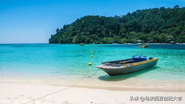 风下之乡海鲜,风下之乡