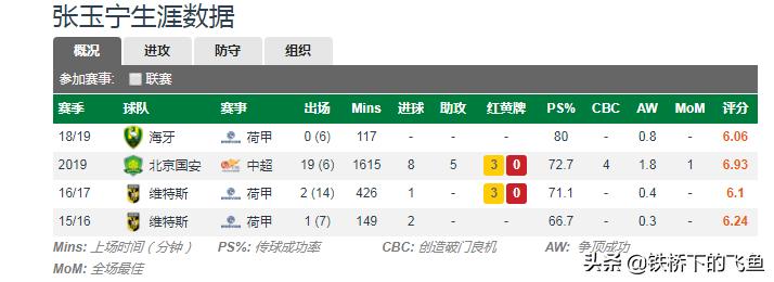 张玉宁谈国安完整版,张玉宁深度分析