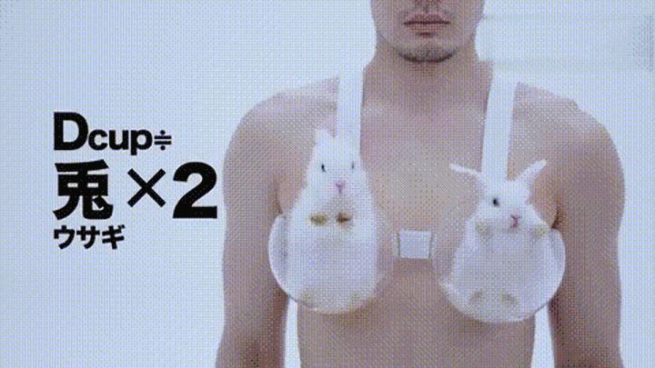 一个正经的问题：不同*杯罩**的「乳房」有多重？