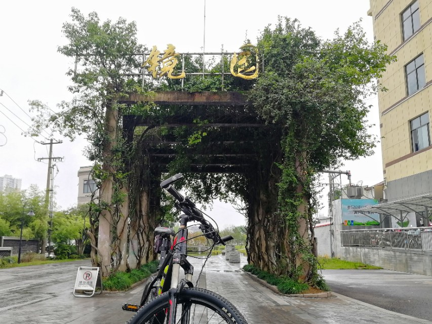 *今条头日**入门之心得