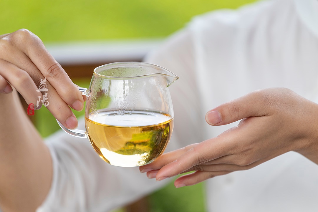 中国黑茶博物馆吉尼斯纪录,世界茶王黑茶