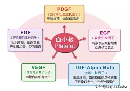 我(PRP)的超能力是富予人体超强自愈力