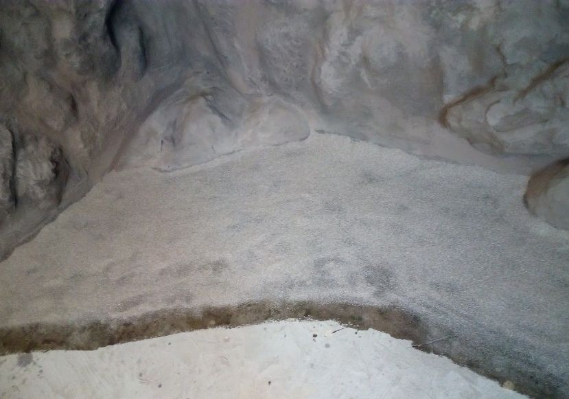 自己做大型水陆缸,在家自己打造一个沙漠缸