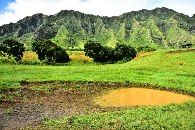 寻找侏罗纪世界中的火山岛,和“驯龙高手”一起拯救史前小短手!