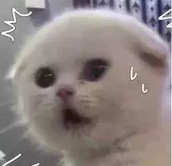 又查获千万假港药！你买的双飞人、活络油、保胃丹可能是假的！