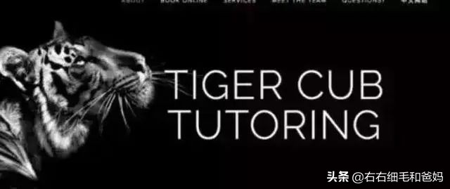 如何不吼不叫让孩子听话,五种方法教你不再吼孩子