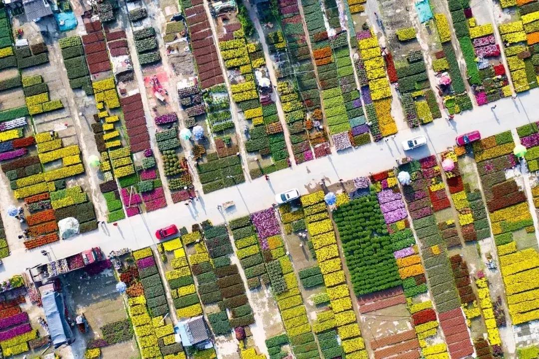 广州人熟悉的芳村，正在消失......