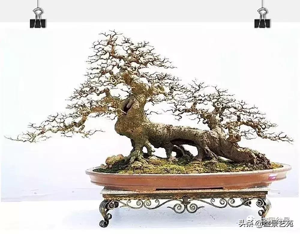 鏈存爲寰楀鐩嗘櫙,椤剁骇鏈存爲鐩嗘櫙娆ｈ祻