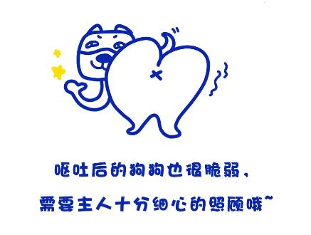 狗狗呕吐最快解决方法,狗狗呕吐严重怎么办吃什么药