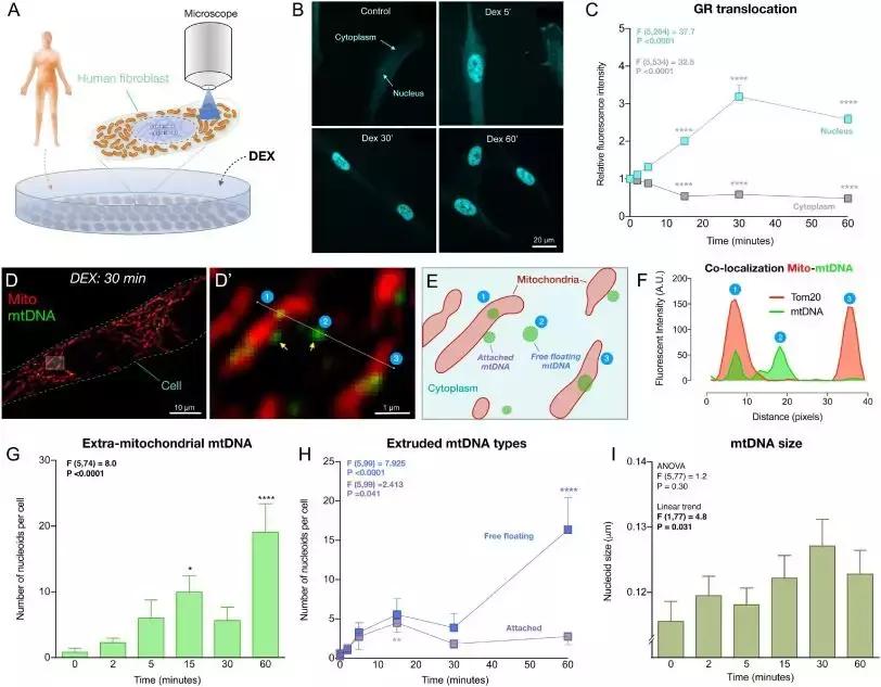 抑郁症临床表现诊断和治疗,重度抑郁症焦虑症20天治愈案例