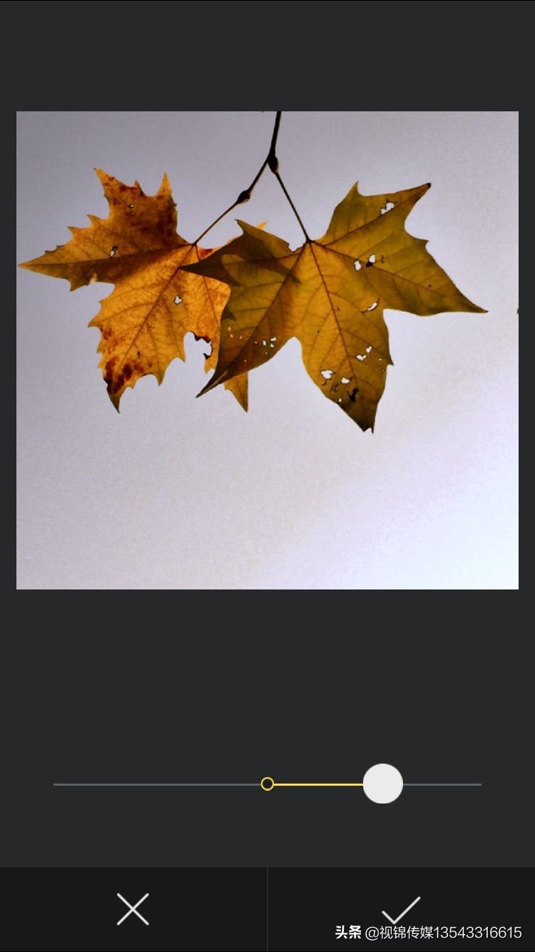 手机后期修图软件,最好用的手机修图软件有哪些