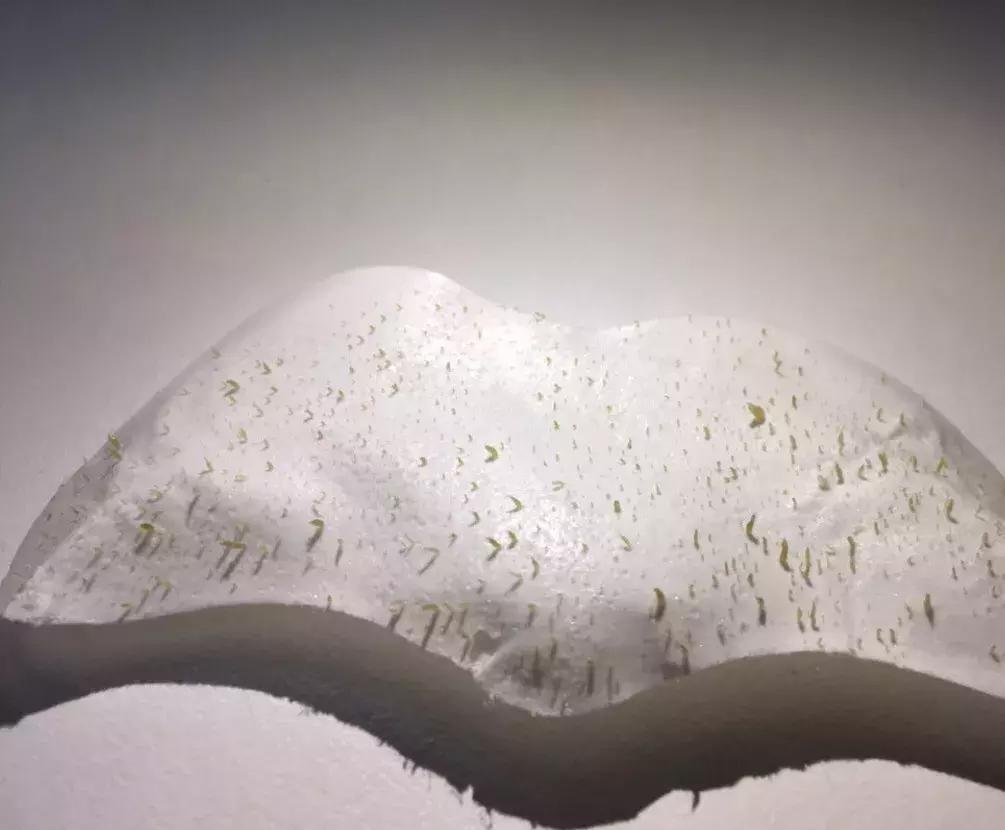 小红书推荐平价好用粉底液,小红书点赞上万有用吗