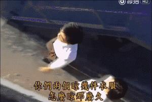 鉴婊课,应该列入成年直男的义务教育