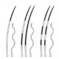 扒开猫咪毛发看有没有虫,猫咪的毛剥开后身体发黑