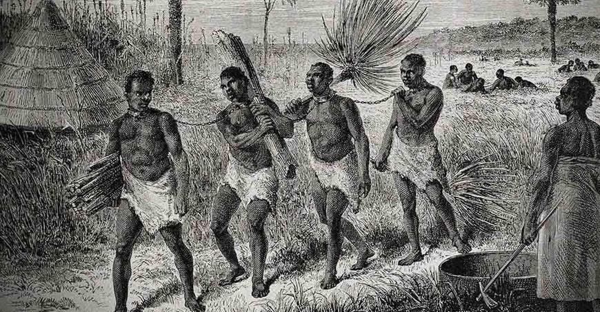 西班牙人表示：美洲土著太可怜了，我们还是奴役非洲黑人吧