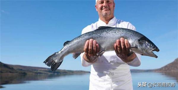 北欧旅行团早餐吃什么,去北欧旅游带什么食物