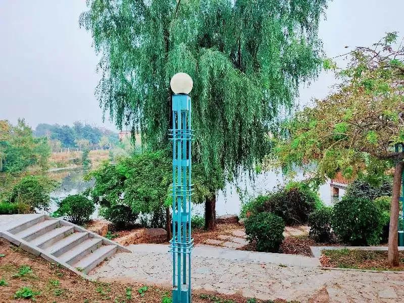 大连海事大学辽宁省大学排名,孔峰辽宁省教育厅大连海事大学