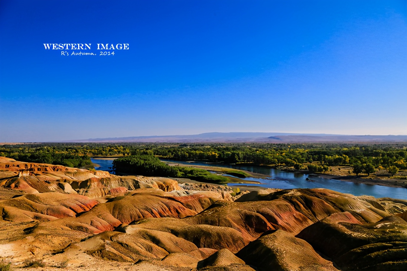 新疆疆内旅行攻略学生,川进疆出自驾游攻略