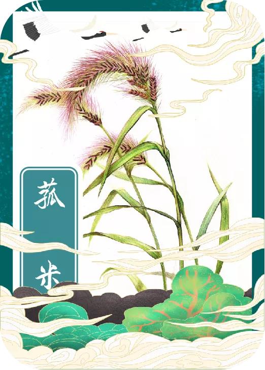 「手绘湖州」小满节气，一起揭开湖州古称“菰城”背后的玄机