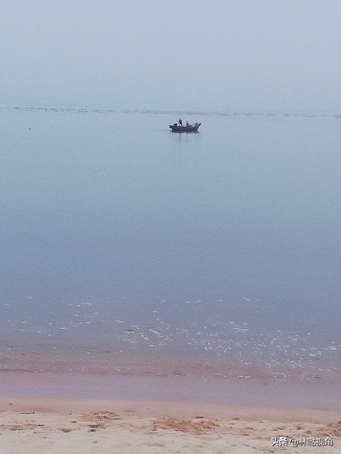 乳山生蚝养殖基地观光,乳山哪里可以养殖牡蛎