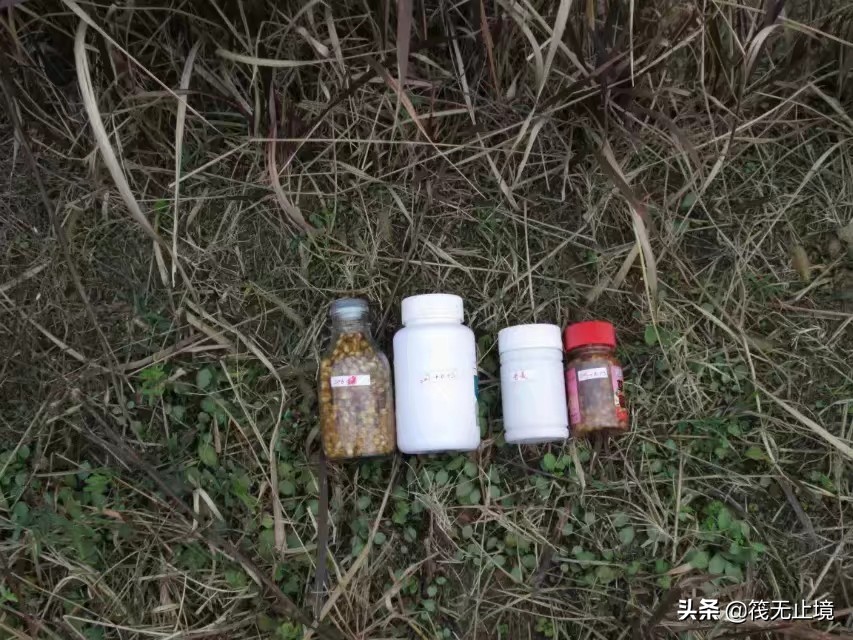 卡麦子过时了吗？解析小矶杆长子线的实际运用