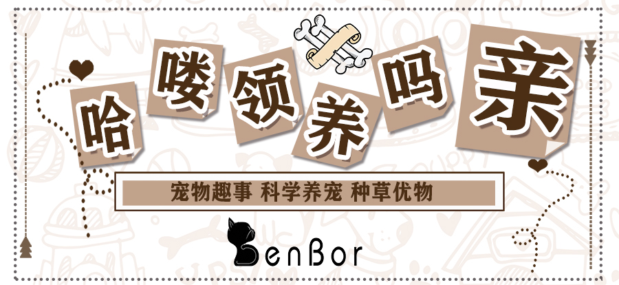 狗狗有寄生虫驱虫药怎么吃才正确,狗狗体内外驱虫药针对虫子一览表