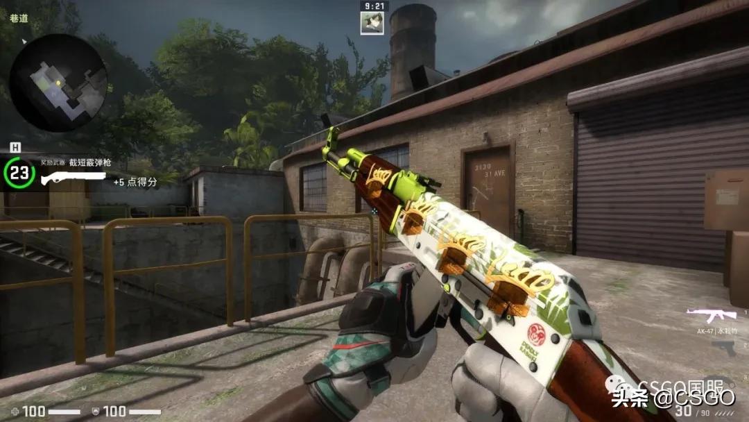 皮肤管理第36集,皮肤管理第十六集