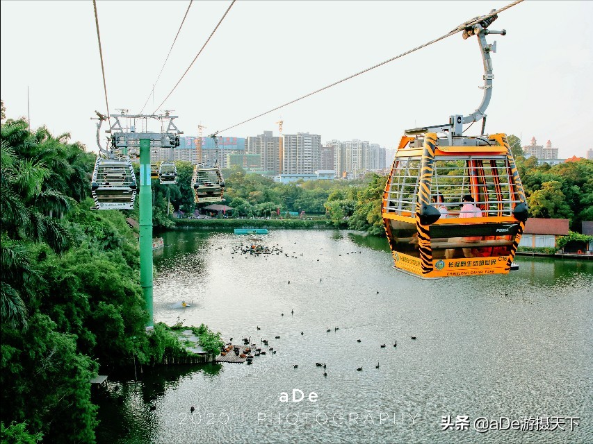 广州长隆野生动物园夜场,长隆嘉年华夜场17号有什么节目