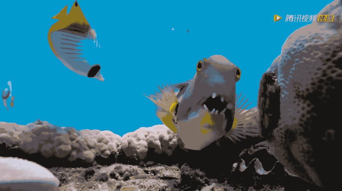 能长上流社会见识的纪录片,有什么可以增加见识眼界的纪录片