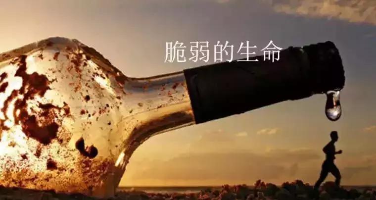 改变从现在开始文案,改变从现在开始作文