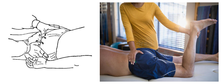 梨状肌和腰椎疼的区别,梨状肌和腰椎间盘有什么区别