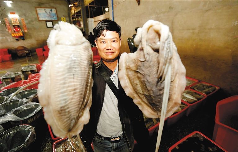 海南自驾租车推荐车型最新,海南517驿站租车价格表